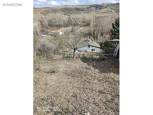 ANKARA ELMADAĞ TATLICA KÖYÜNDE 627 M² BAHÇEMİZ SATILIKTIR. - ANKARA ELMADAĞ fotoğraf 6