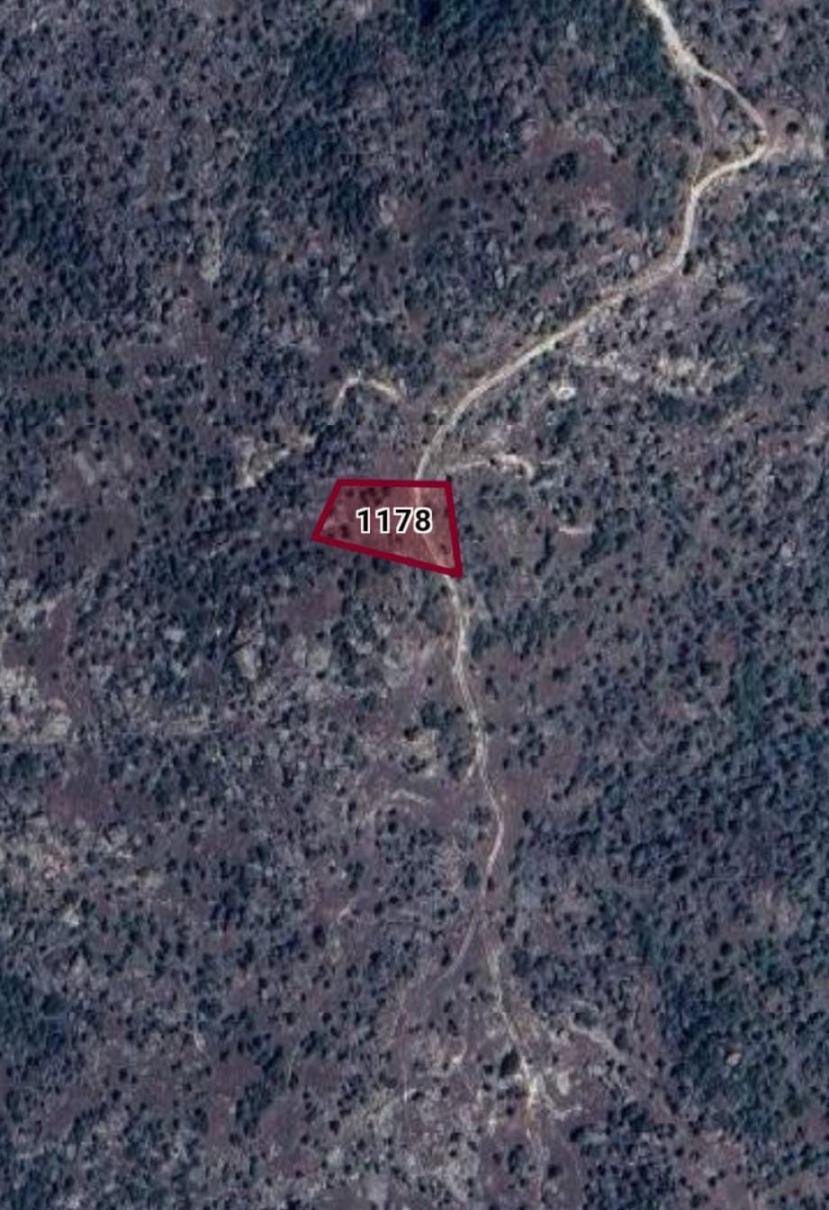 AYDIN KARPUZLU ÇOBANİSA MAH. ZETİNLİĞİN 1.015M² Sİ  SATILIK - AYDIN KARPUZLU fotoğraf 3