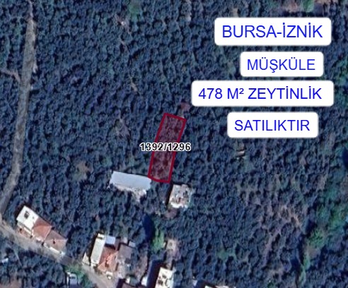 BURSA İZNİK MÜŞKÜLE MAHALLESİNDE 478M² TARLA SATILIKTIR - BURSA İZNİK fotoğraf 4