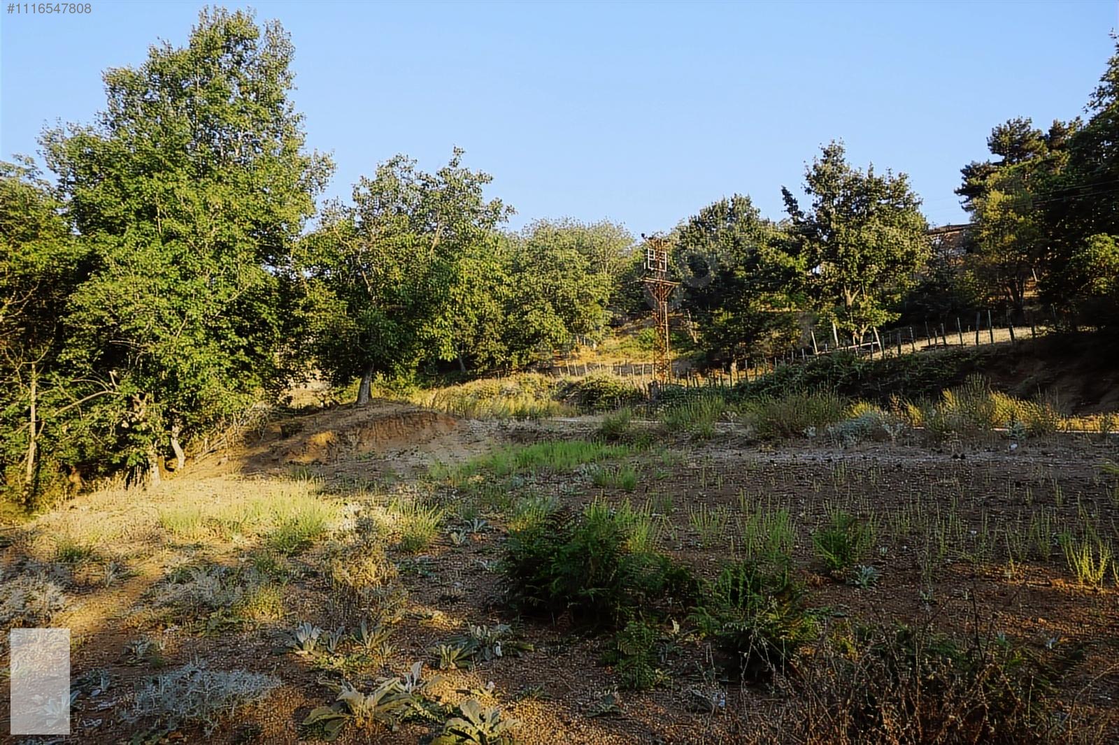 ÇANAKKALE BAYRAMİÇ SERHAT KÖYÜ 592 m2 % 80 İMARLI ARSA - ÇANAKKALE BAYRAMİÇ fotoğraf 25
