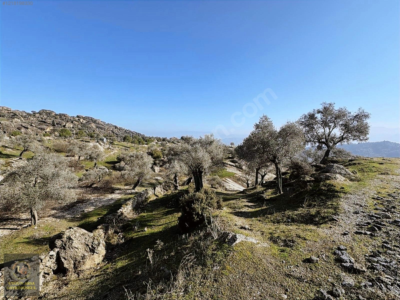 AYDIN KARPUZLU MERKEZ'DE 21.050 M2 ANA YOLA CEPHE ZEYTİNLİK - AYDIN KARPUZLU fotoğraf 26