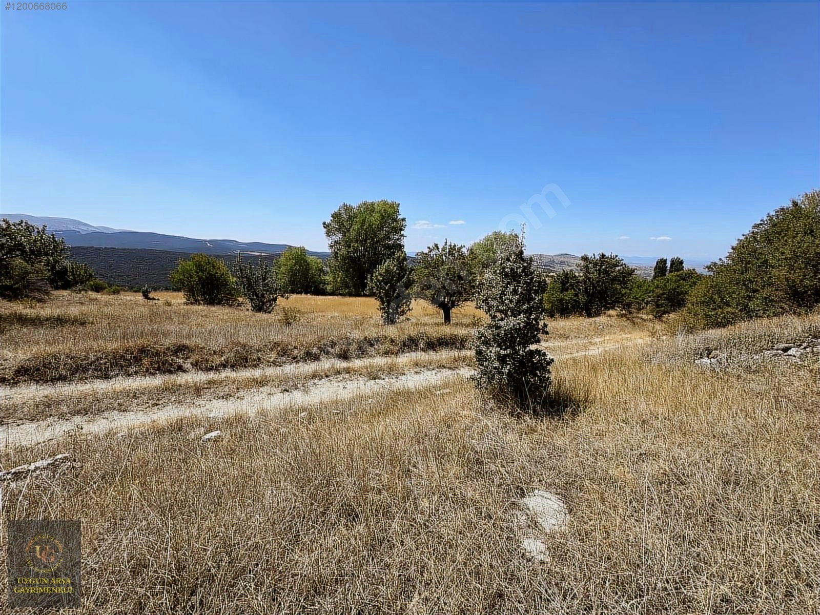 BOLU KIBRISCIK SARIKAYA'DA 8.370 M2 UYGUN ARSA - BOLU KIBRISCIK fotoğraf 4