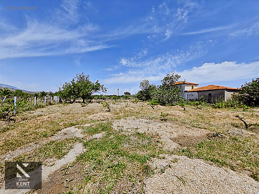 Kemalpaşa Armutlu Satılık 1120 m2 Bahçe - İZMİR KEMALPAŞA fotoğraf 17