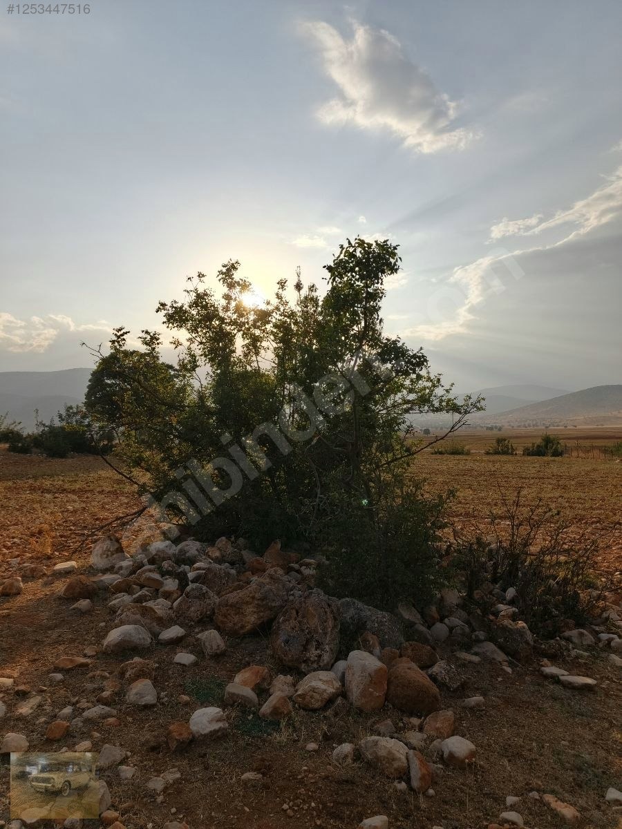 acil !korkuteli'de Yazıra komşu İmecikte 1883m mahalle yanında - ANTALYA KORKUTELİ fotoğraf 29