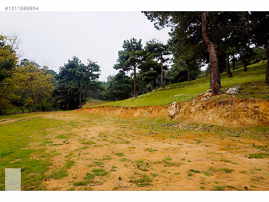 ÇANAKKALE BAYRAMİÇ DALOBA KÖYÜ 4781 m2 TARLA - ÇANAKKALE BAYRAMİÇ fotoğraf 51