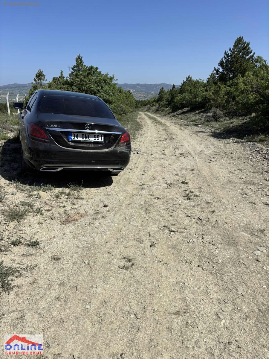 RESMİ YOLLU ARAZİ - BİLECİK YENİPAZAR fotoğraf 29