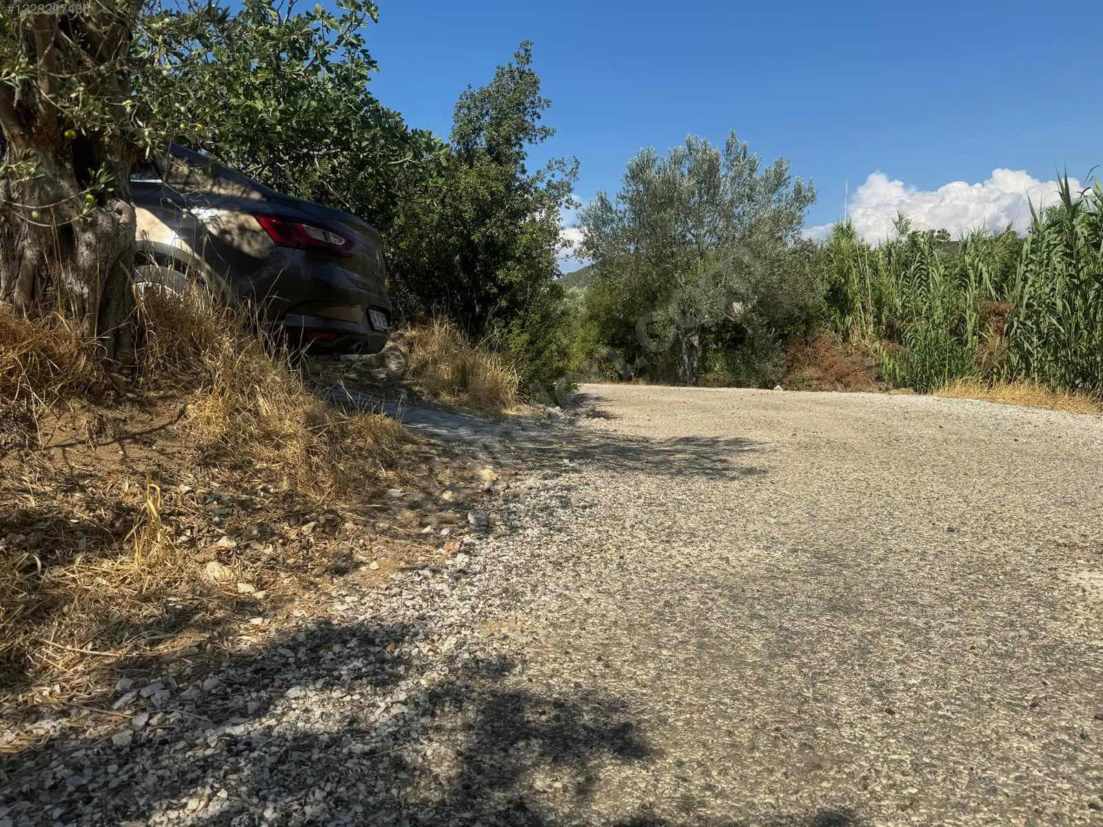 İZMİR ALİAĞA AŞAĞIŞAKRAN MAHALLESİNDE’NDE 8.320 M² ZEYTİNLİK SATILIKTIR - İZMİR ALİAĞA fotoğraf 4