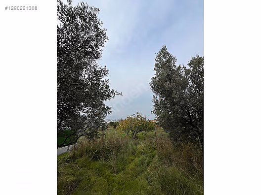 BÖLGE UZMANI HAS EMLAK DENİZ MANZARALI FIRSAT HOBİ BAHÇESİ - BURSA MUDANYA fotoğraf 51