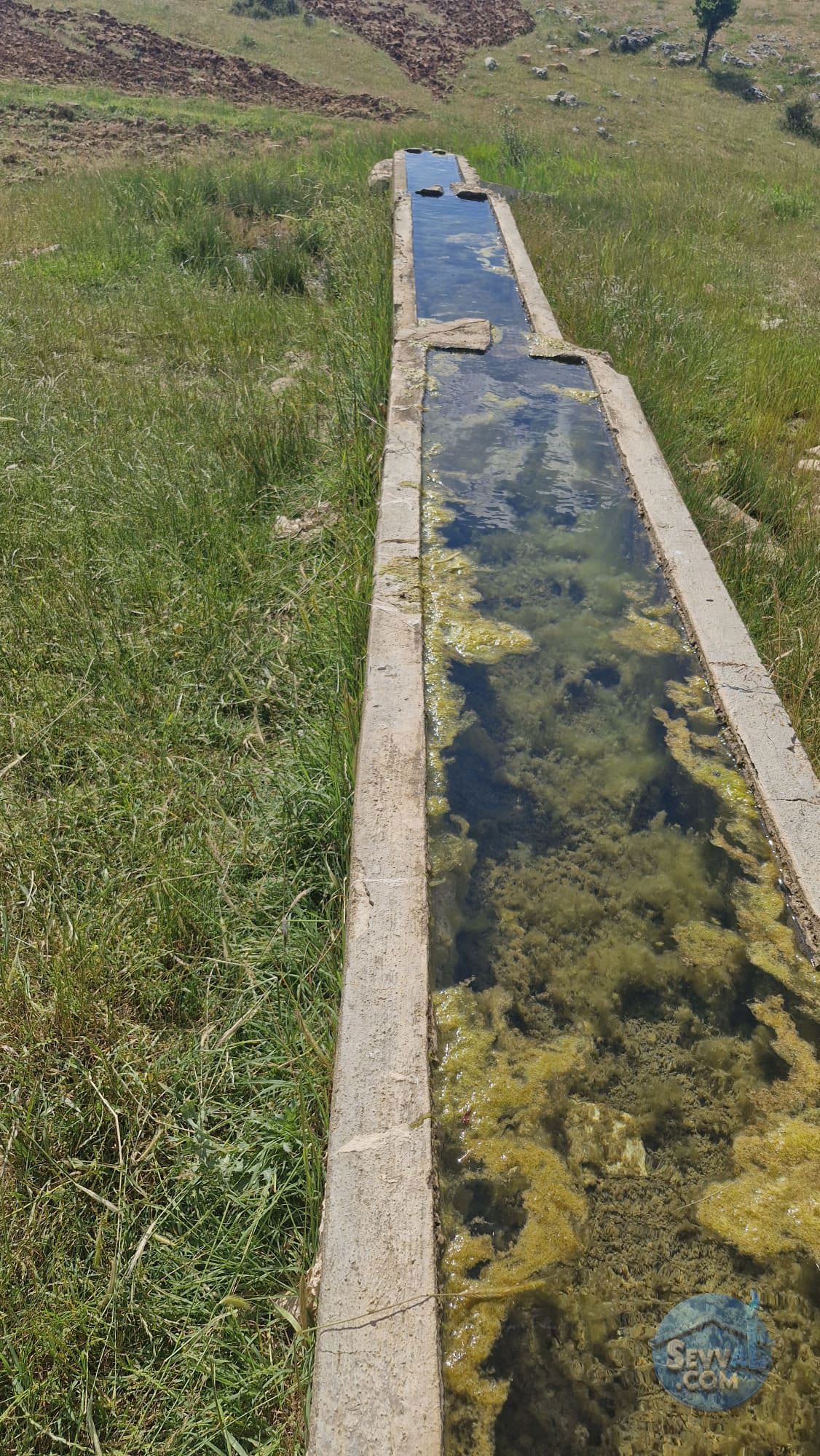 KÜTAHYA ÇAVDARHİSAR YENİCEARMUTCUK  KÖYÜNDE  3.115  M²  TARLA  SATILIKTIR - KÜTAHYA ÇAVDARHİSAR fotoğraf 4