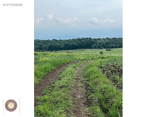 İNEGÖL DÖMEZ MH SATILIK TOPLAM 3.000M2 - BURSA İNEGÖL fotoğraf 9