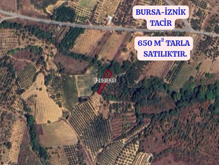 BURSA İZNİK TACİR  KÖYÜNDE 650  M² TARLA  SATILIKTIR - BURSA İZNİK fotoğraf 2