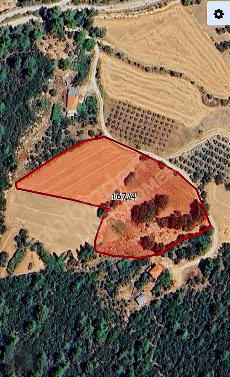 Seydikemer Yakada 8.075 m² Tarla ve Kargir Ev YatırımlıkMÜSTAKİL TAPULU - MUĞLA SEYDİKEMER fotoğraf 4