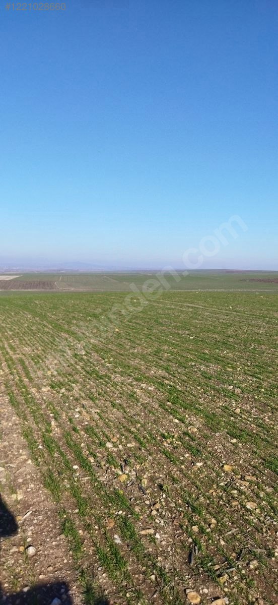 EDİRNE LALAPAŞA ORTAKÇI KÖYÜ'NDE  22.750 M² TARLAMIZ SATILIKTIR - EDİRNE LALAPAŞA fotoğraf 6