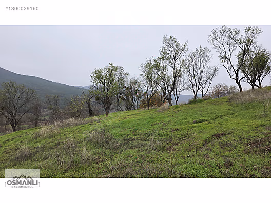 RESMİ YOLLU 800 M2 MANZARALI HOBİ BAHÇESİ - BİLECİK GÖLPAZARI fotoğraf 7