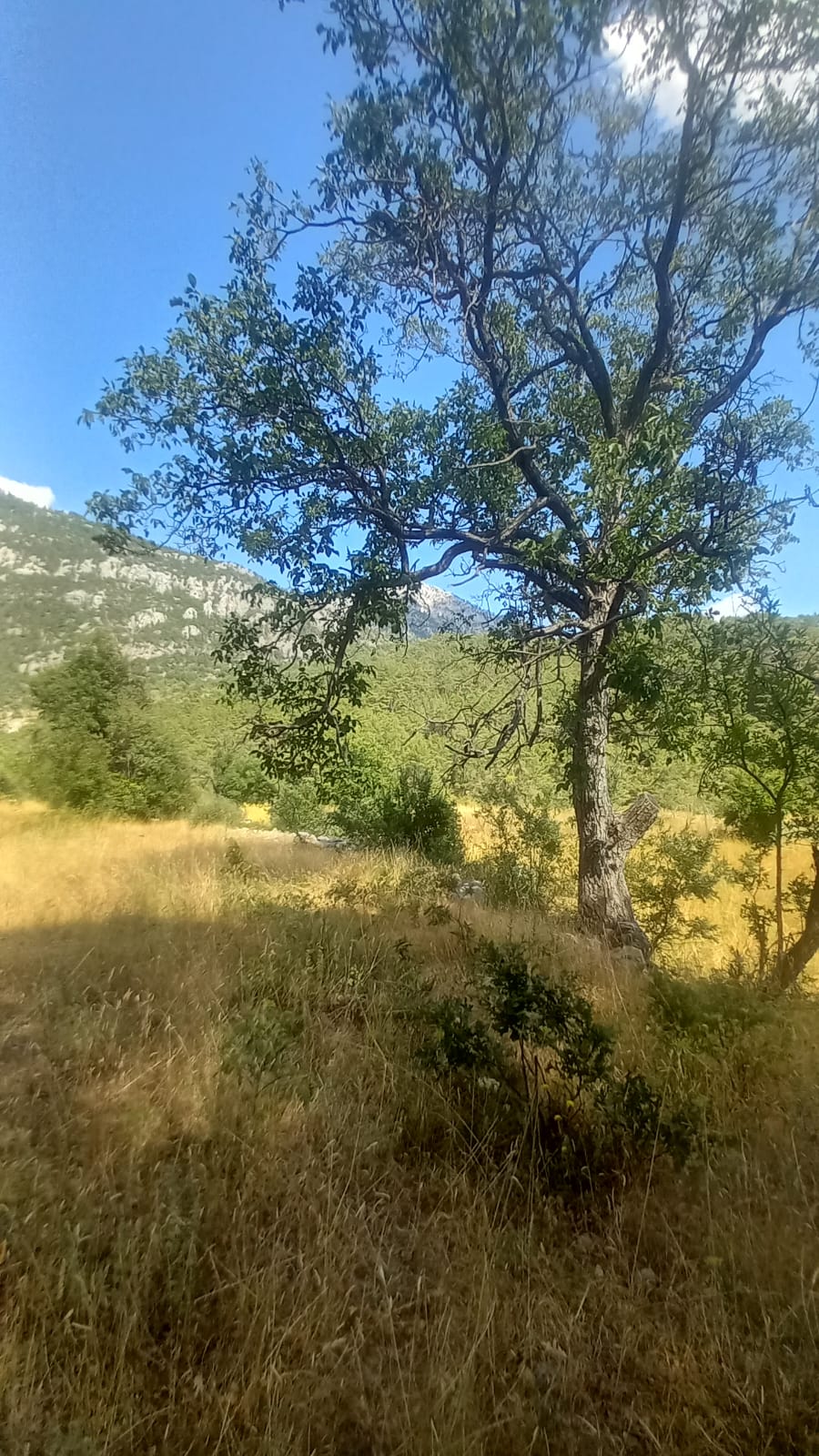 ANTALYA GÜNDOĞMUŞ PAMBELİK  KÖYÜNDE 572  M² TARLA   SATILIKTIR - ANTALYA GÜNDOĞMUŞ fotoğraf 8