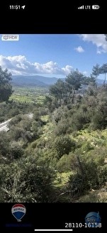 Milas Kızılcayıkık’ta Yol Cepheli 5.221 m² Manzaralı Zeytinlik - MUĞLA MİLAS fotoğraf 3