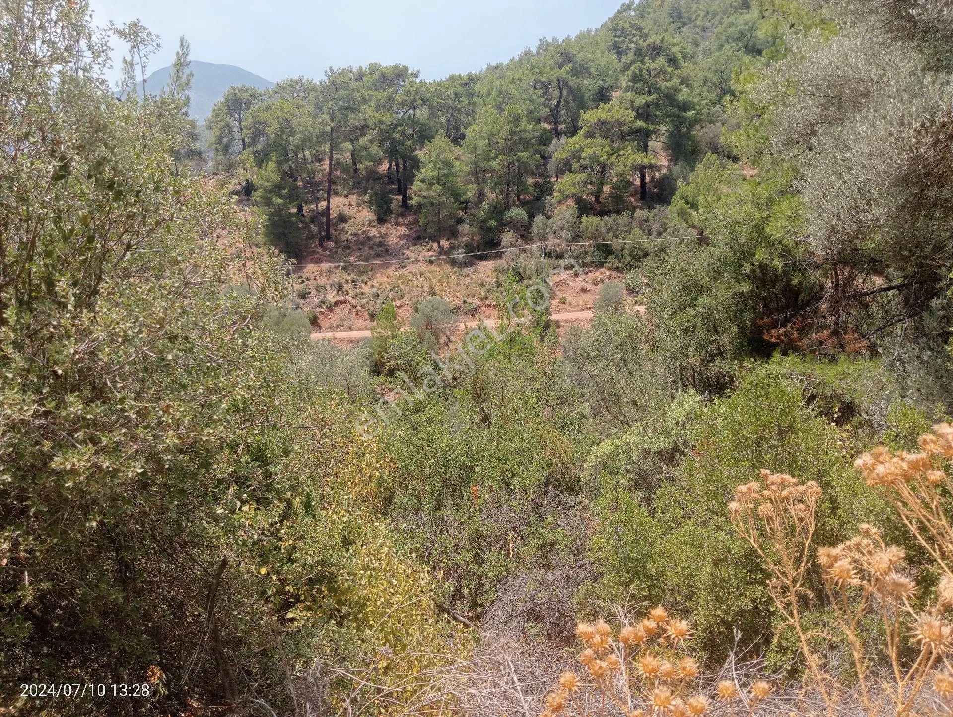 Antalya Kumluca Orta Köyde Satılık Tarla İnceoğlu Emlak - ANTALYA KUMLUCA fotoğraf 19