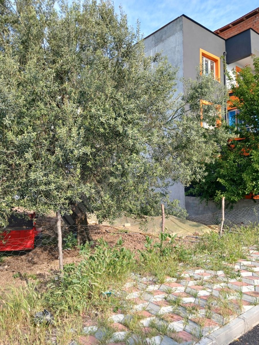 fiyat düşürüldü satılık arsa - MANİSA AKHİSAR fotoğraf 8