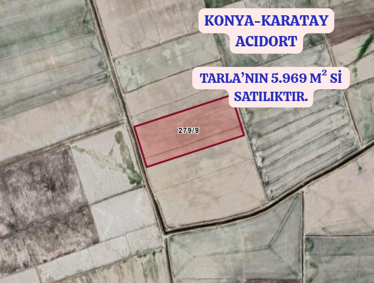 KONYA KARATAY ACIDORT  KÖYÜNDE TARLANIN 5.969 M² Sİ SATILIKTIR - KONYA KARATAY fotoğraf 2