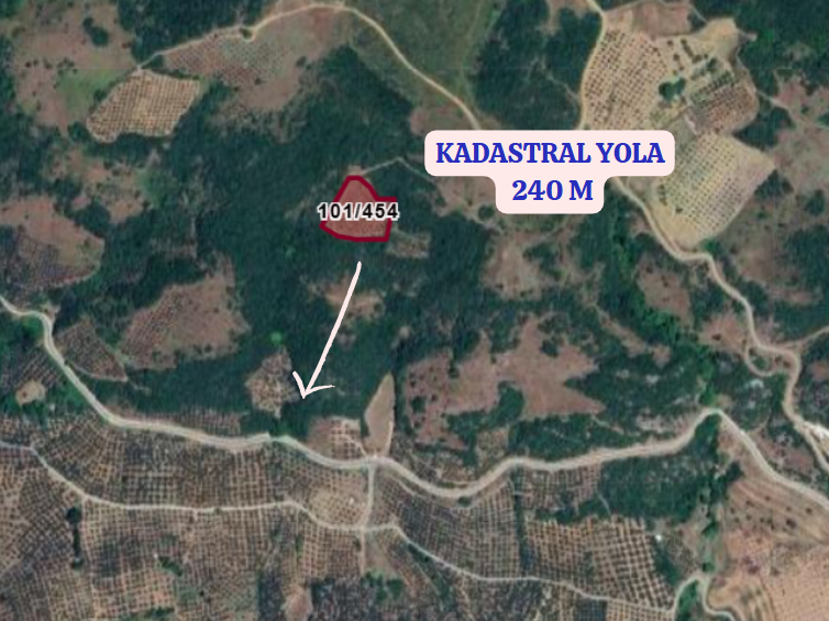 BURSA MUDANYA MİRZAOBA KÖYÜNDE 3.753 M TARLA SATILIKTIR - BURSA MUDANYA fotoğraf 3