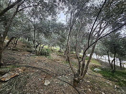 MUHTESEM LOKASYON 258M2 SUPER YATİRİM DUNYA GÖZBEBEĞİ VİLLA ARSA - MUĞLA FETHİYE fotoğraf 21