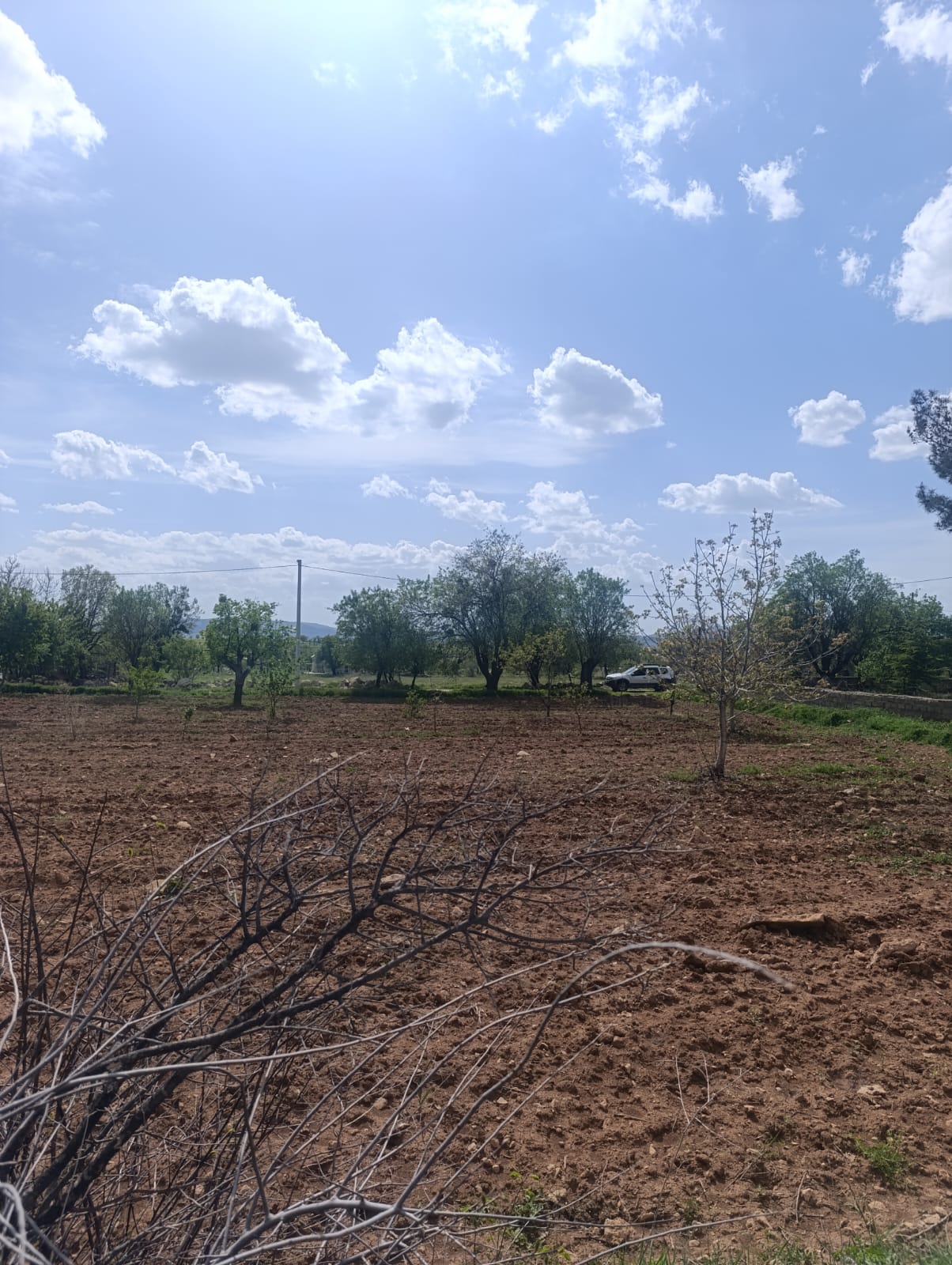 UŞAK KARAHALLI ÇOKAKLI KÖYÜNDE 616M² TARLAMIZ SATILIKTIR  - UŞAK EŞME fotoğraf 3