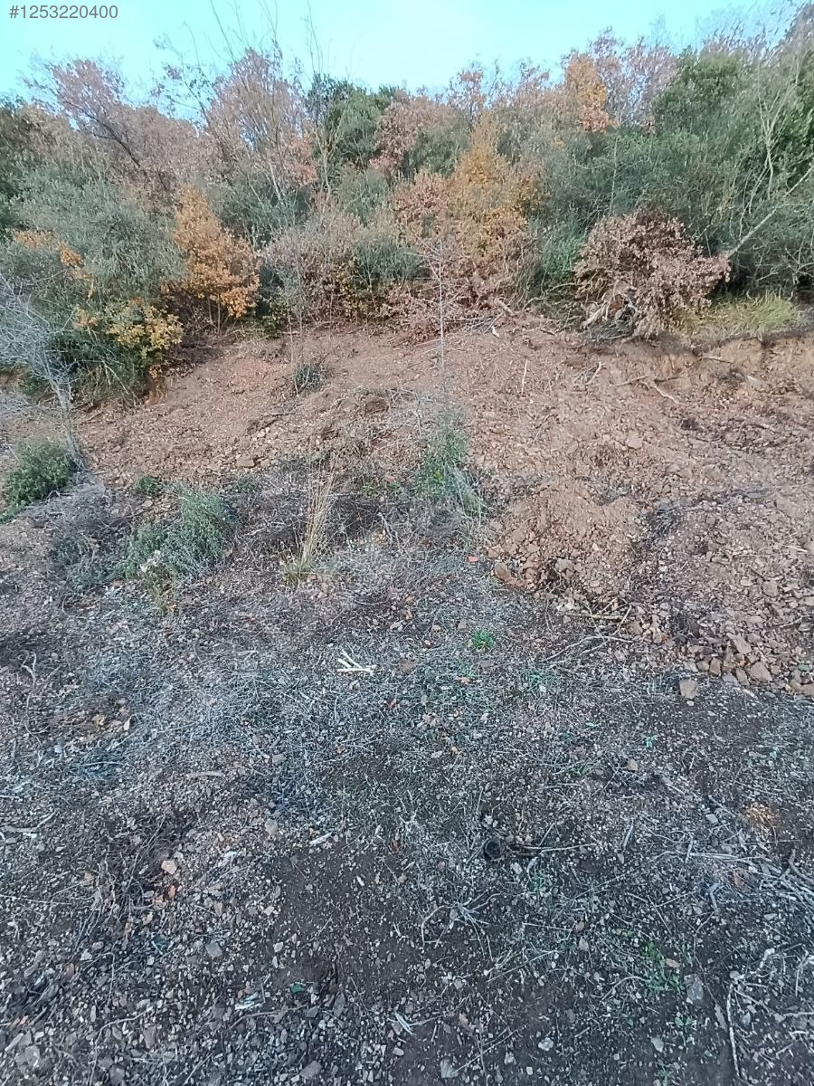 BURSA MUDANYA KAYMAKOBA KÖYÜNDE 537 M TARLA SATILIKTIR - BURSA MUDANYA fotoğraf 17