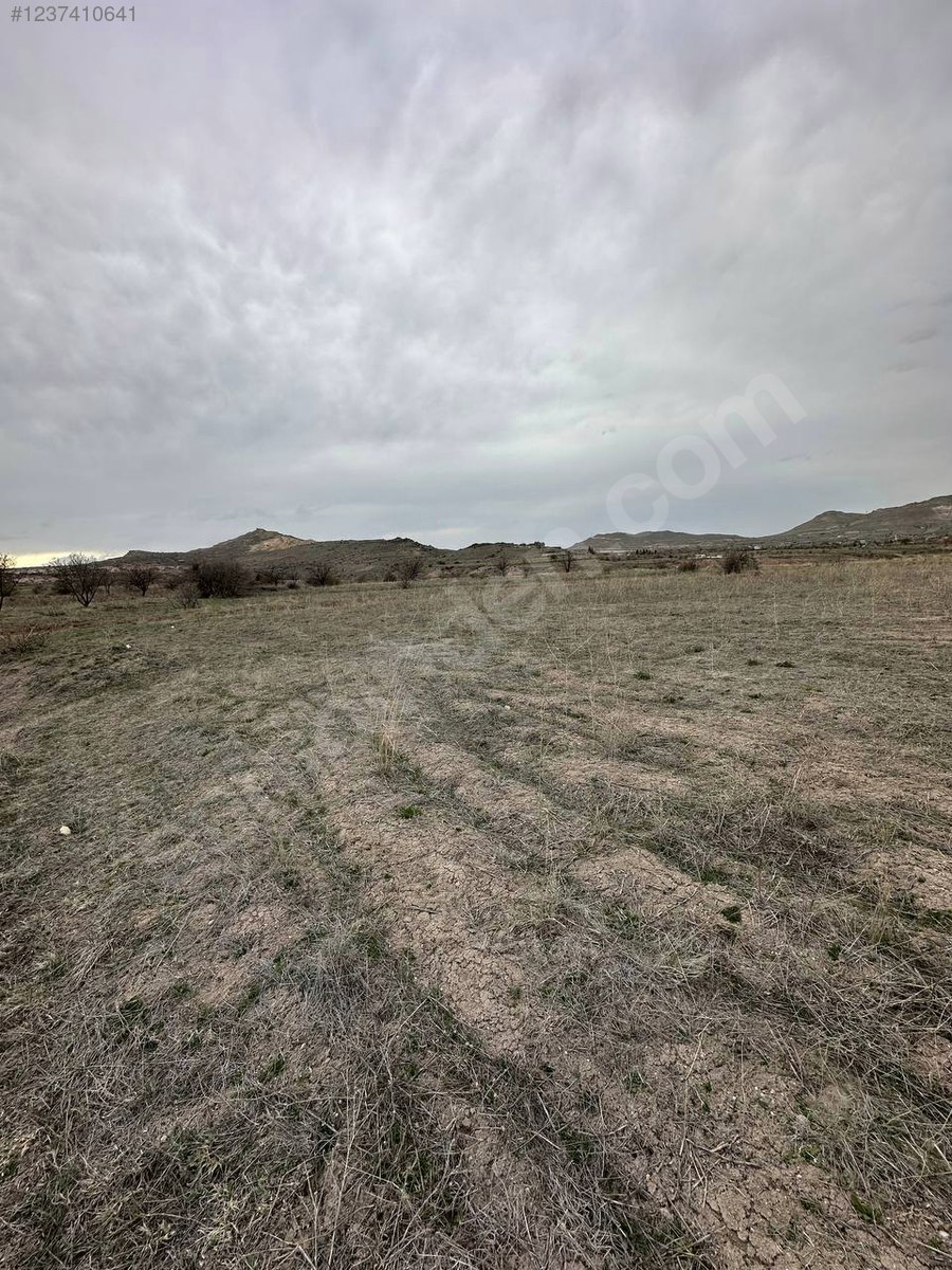 NEVŞEHİR MERKEZ UÇHİSAR  KÖYÜNDE  2.440  M² BAĞ  SATILIKTIR - NEVŞEHİR MERKEZ fotoğraf 9