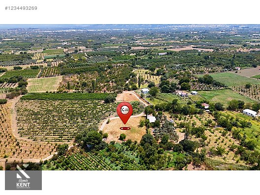 Kemalpaşa Yukarıkızılca Satılık 408 m2 Bahçe - İZMİR KEMALPAŞA fotoğraf 40