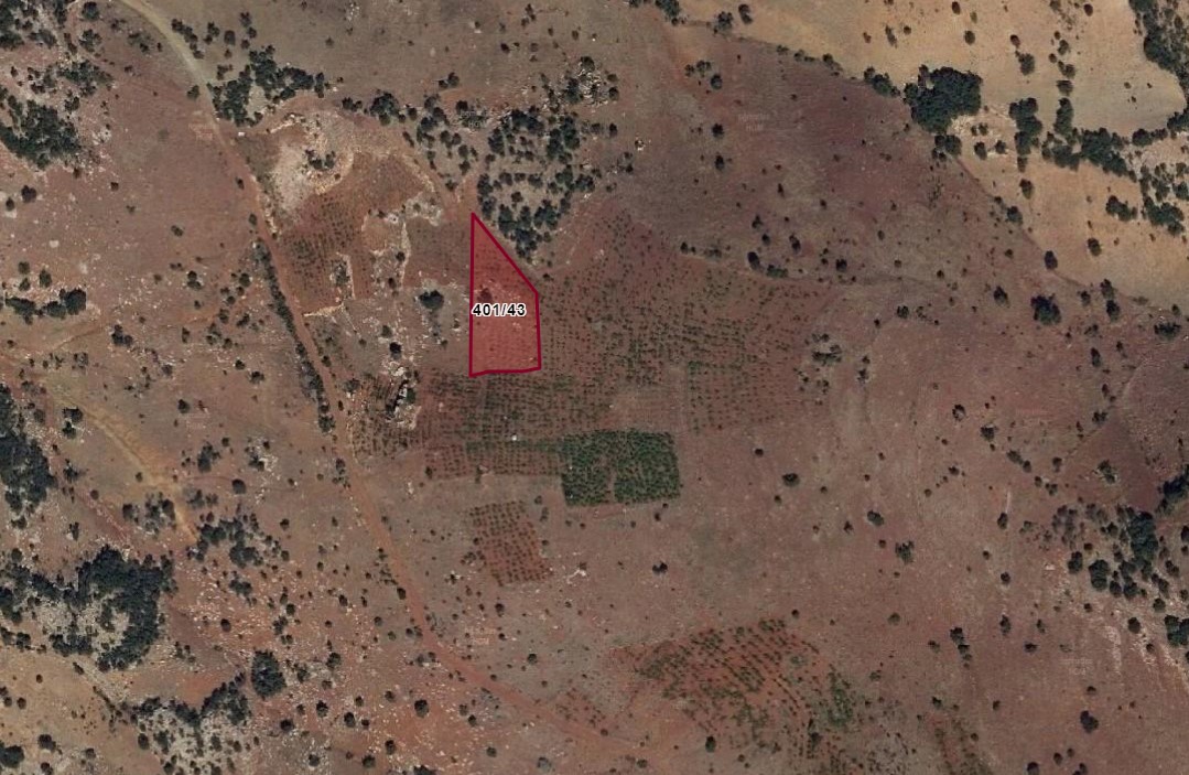 KONYA BOZKIR HAMZALAR KÖYÜNDE 1.443 M2 BAĞ SATILIKTIR. - KONYA BOZKIR fotoğraf 10