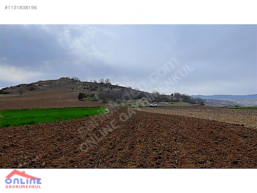 Araç Takaslı - BİLECİK YENİPAZAR fotoğraf 23