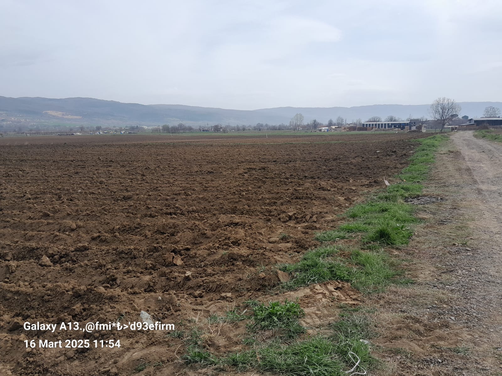 BURSA İNEGÖL HASANPAŞA SATILIK TARLA 9100m² - BURSA İNEGÖL fotoğraf 5