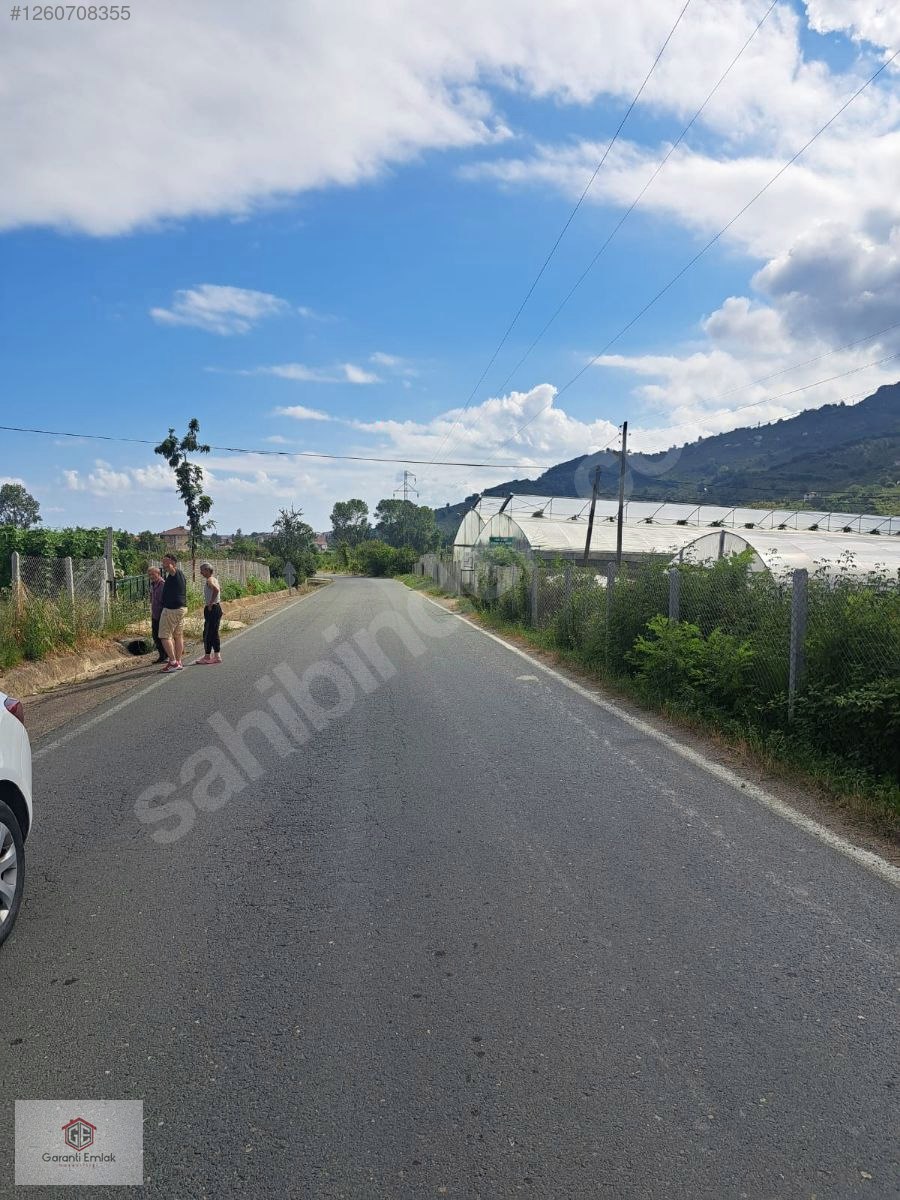 EFİRLİDE YOLA SIFIR SATILIK 2 DÖNÜM ARSA - ORDU PERŞEMBE fotoğraf 7