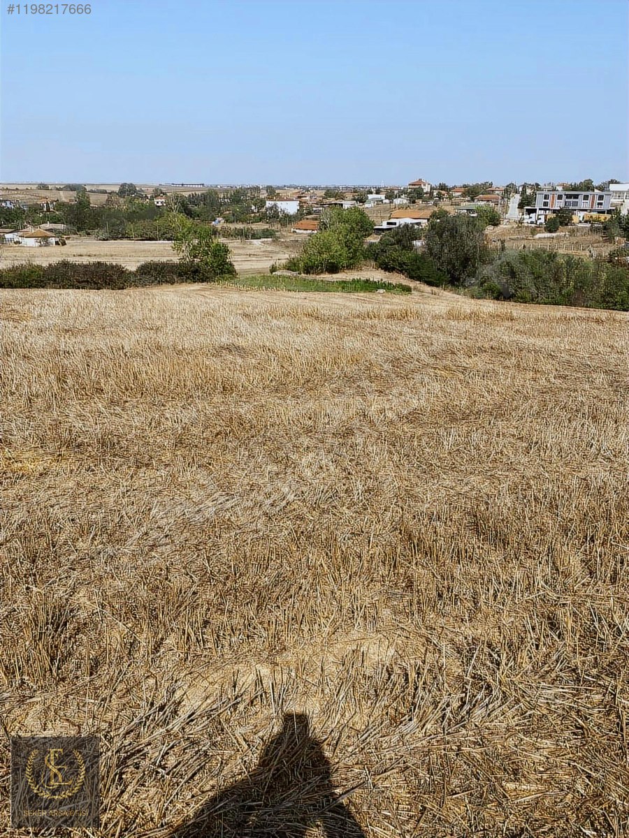 Tekirdağ saray göçerler tarlada hisseli 10050 arsa niteliğinde - TEKİRDAĞ SARAY fotoğraf 9