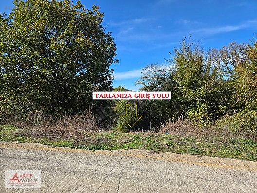 BAĞIRGANLI'DA VADİ MANZARALI BÜYÜK ORMANA CEPHELİ 10 DÖNÜM TARLA - KOCAELİ KANDIRA fotoğraf 12