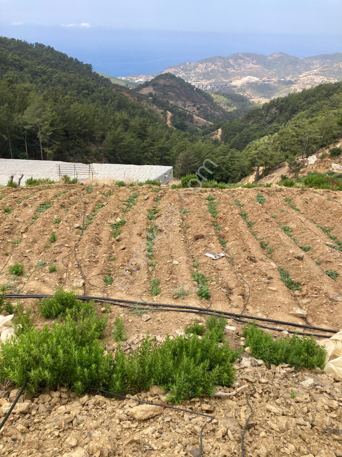 Anchor Gayrimenkul'den Demirören Mahallesin'de Satılık Tarla - MERSİN ANAMUR fotoğraf 3