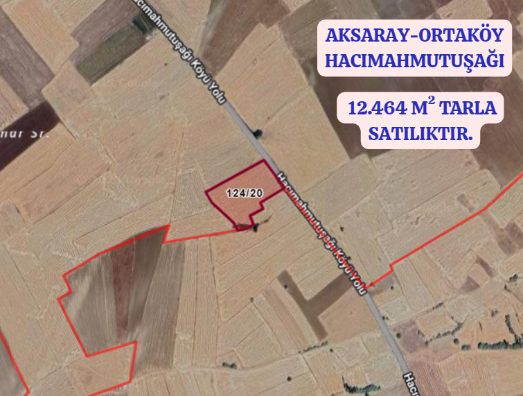 AKSARAY ORTAKÖY HACIMAHMUTUŞAĞI   KÖYÜNDE  12.464  M²  TARLA  SATILIKTIR - AKSARAY ORTAKÖY fotoğraf 2