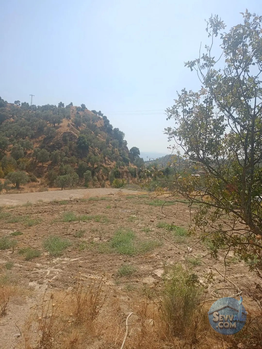 Sultanhisar Yağdere De 2 Yol Cepheli İmarlı Bahçe - AYDIN SULTANHİSAR fotoğraf 12