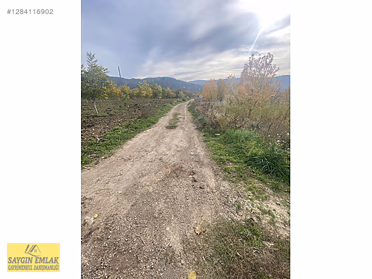 AMASYA MERKEZ DURUCA SATILIK TARLA 11.611 MK - AMASYA MERKEZ fotoğraf 4