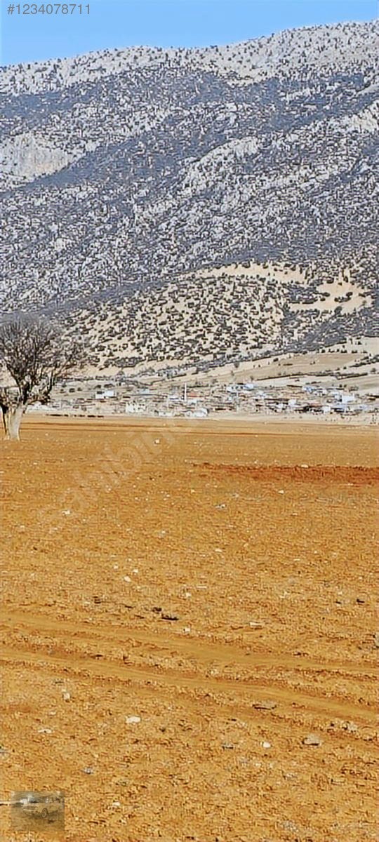 acil satılıkYazır a komşu olan imecik'te 950mtek tapuyer acildir - ANTALYA KORKUTELİ fotoğraf 7