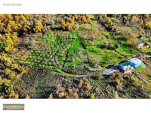 GEYVE DEREKÖYDE 1299 M2 SAKARYA NEHRİ MANZARALI TARLA - SAKARYA GEYVE fotoğraf 14