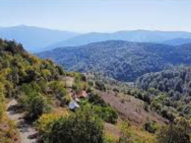 BARTIN ULUS DÖNGELLER KÖYÜNDE 2.412 M² TARLA SATILIKTIR. - BARTIN ULUS fotoğraf 7