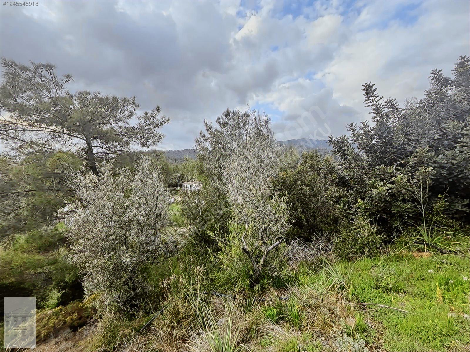 ELDİREK MAHALLESİ KÖY YERLEŞİK ALANI İÇERİSİNDE SATILIK ARSA - MUĞLA FETHİYE fotoğraf 3