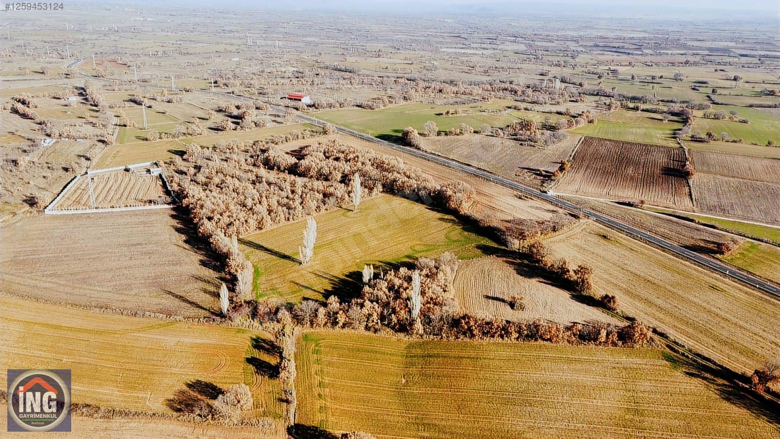 KIRKLARELİ ÜSKÜPTE ORGANİZEYE ASFALTA YAKIN BÜYÜK ARAZİ - KIRKLARELİ MERKEZ fotoğraf 3