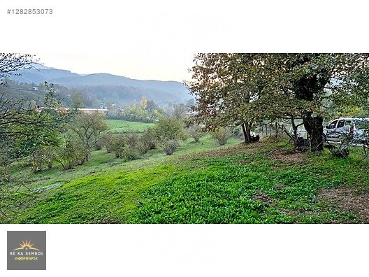 SAKARYA-KARAPÜRÇEK-MESUDİYE MAHALLE MERKEZİNDE SATILIK TARLA - SAKARYA KARAPÜRÇEK fotoğraf 5