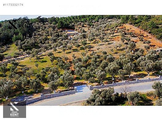 Kemalpaşa Sütçüler Satılık 11.398 m2 Bahçe - İZMİR KEMALPAŞA fotoğraf 5