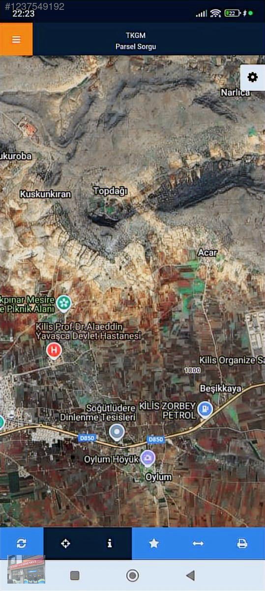 Kilis Acar tapulu 60 agac zeytin ve 15 agac kadar fıstık acil - KİLİS MERKEZ fotoğraf 3