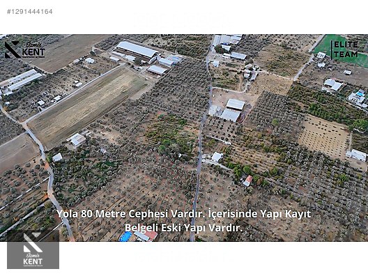 Kemalpaşa Çınar Satılık 8.507 m2 Bahçe - İZMİR KEMALPAŞA fotoğraf 30