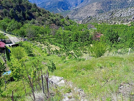 TAŞHAN EMLAKDAN YENİCE DE SATILIK TEK TAPU HOBİ BAHÇE - AMASYA MERKEZ fotoğraf 7