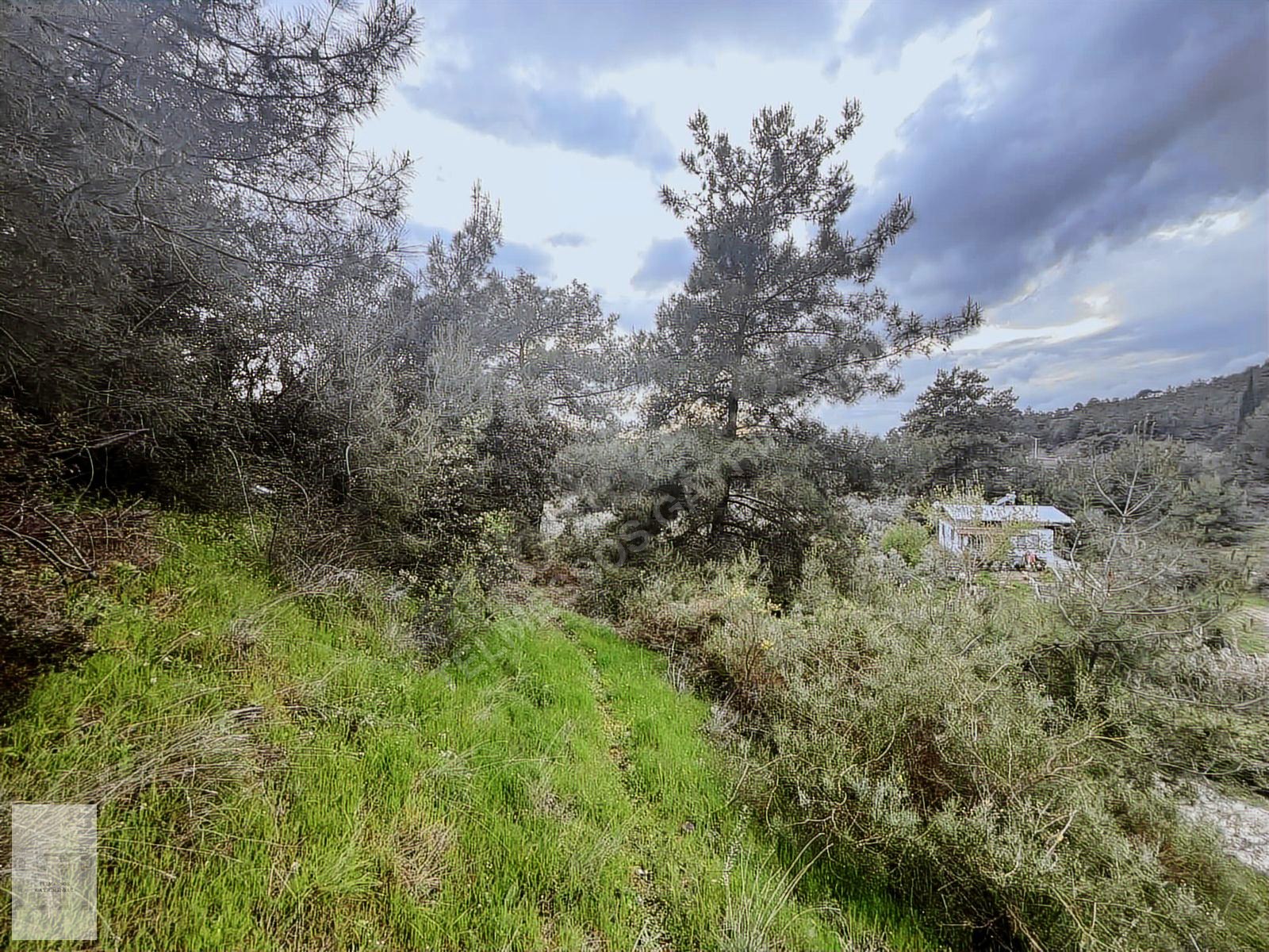 ELDİREK MAHALLESİ KÖY YERLEŞİK ALANI İÇERİSİNDE SATILIK ARSA - MUĞLA FETHİYE fotoğraf 2
